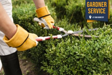 Gardening Services in Karachi